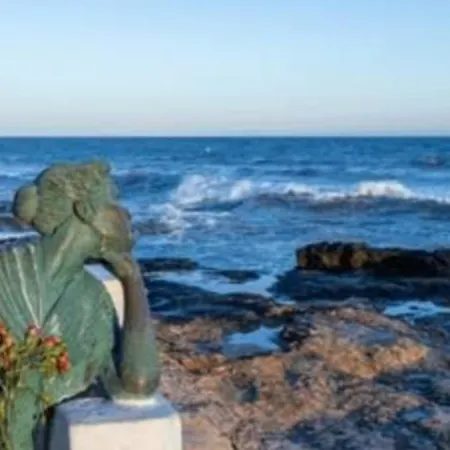 La Casa Del Gato Torrevieja