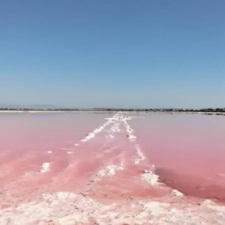 Holiday home La Casa Del Gato *