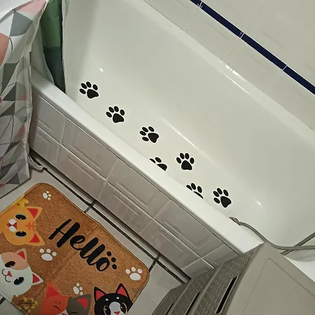 La Casa Del Gato Torrevieja