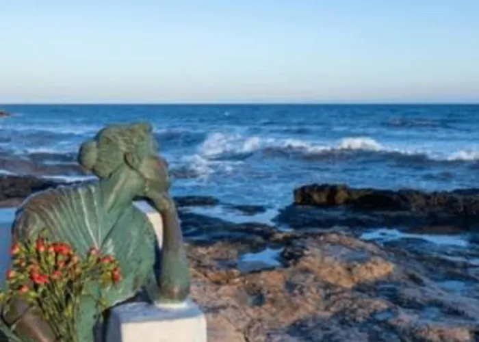 La Casa Del Gato Torrevieja