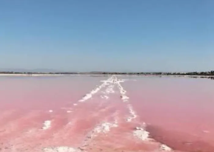 Holiday home La Casa Del Gato *