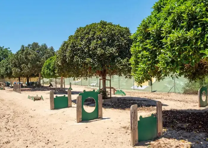 La Casa Del Gato Torrevieja